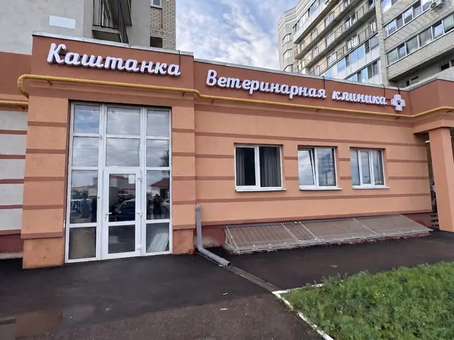 Фасад ветеринарной клиники «Каштанка»